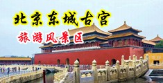 美女操B出水网站视频中国北京-东城古宫旅游风景区